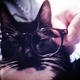 Illustration for article titled This Cat Wont Stop Sitting on My Shoulder Like a Parrot